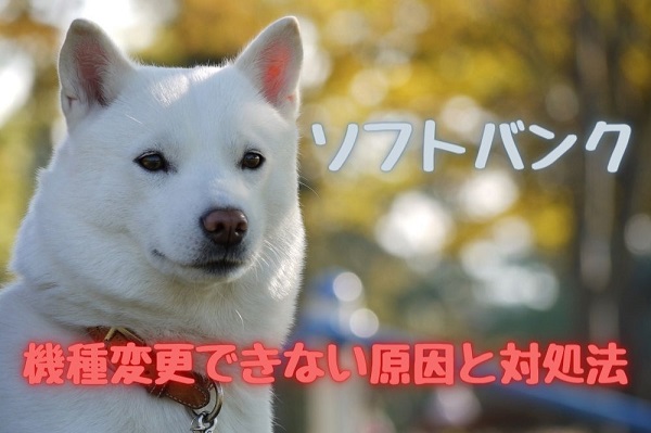 ソフトバンクで機種変更できない原因と対処法 意外な原因も紹介 すまアレ